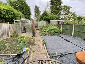 Vegetable plot- click for photo gallery